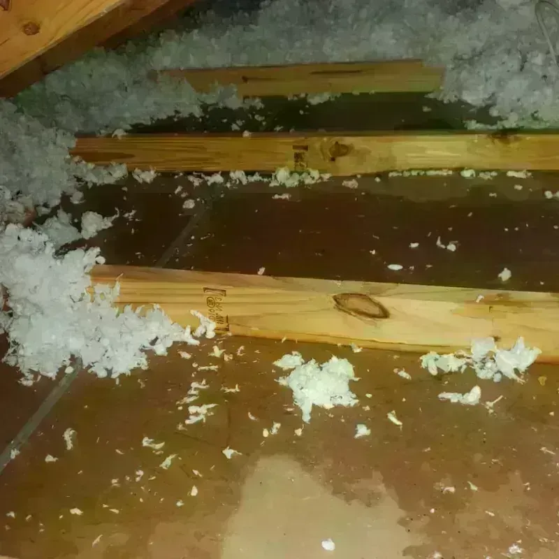 Attic Water Damage in South Daytona, FL