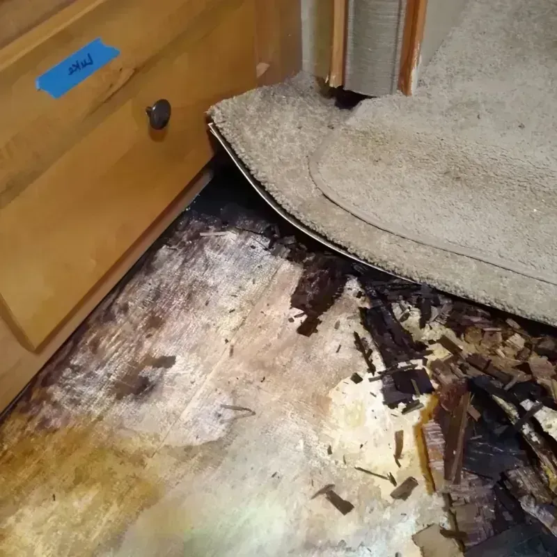 Wood Floor Water Damage in South Daytona, FL